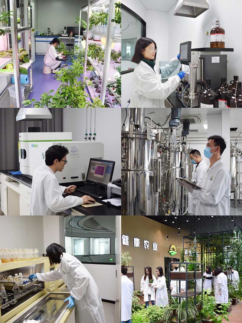 “全國科技工作者日”：推動(dòng)農(nóng)業(yè)綠色高質(zhì)量發(fā)展，新朝陽科研人在路上