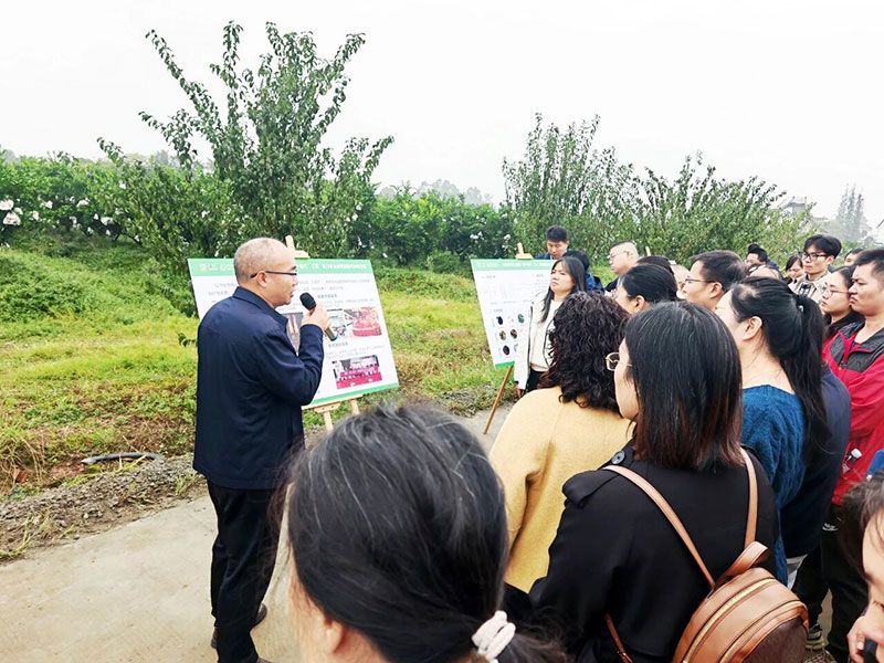 新朝陽(yáng)生物技術(shù)助力綠色防控，推動(dòng)柑橘產(chǎn)業(yè)綠色高質(zhì)量發(fā)展