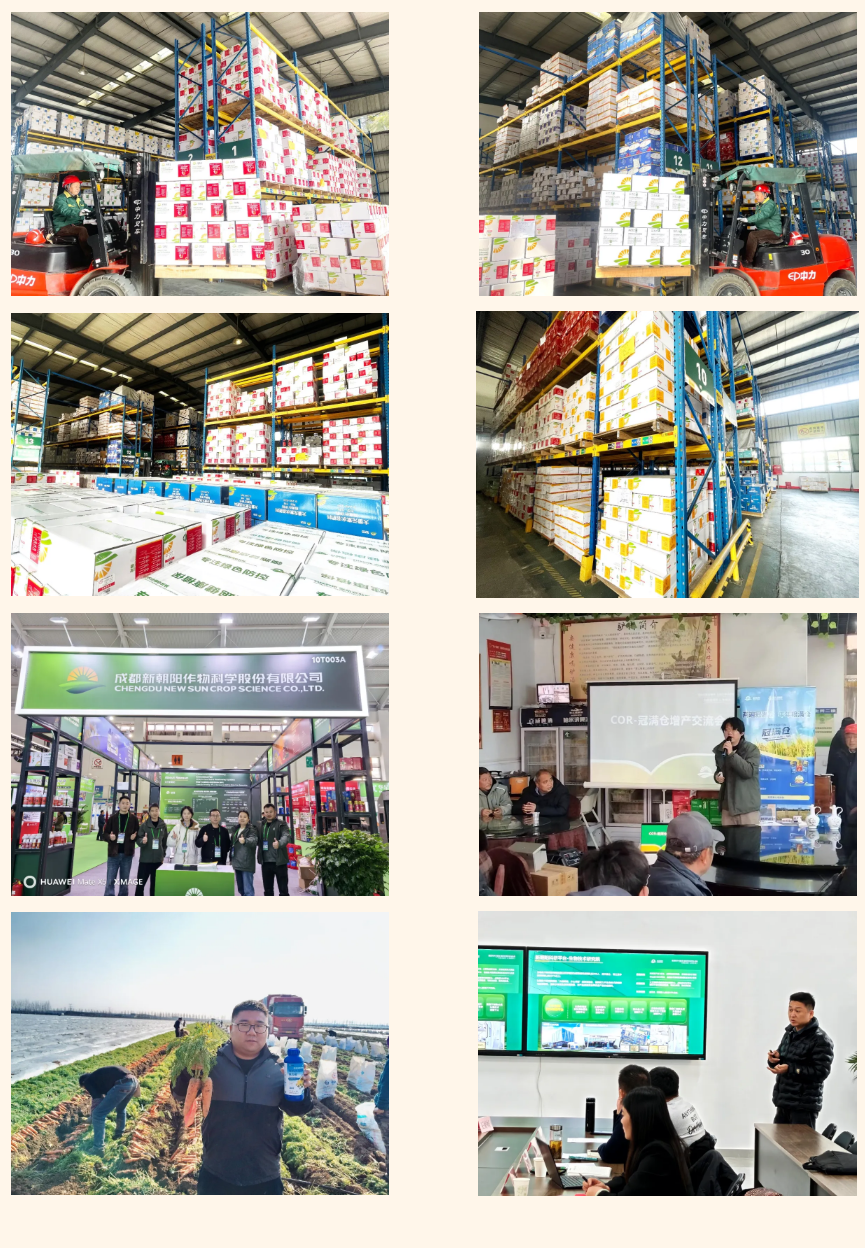 快馬加鞭戰(zhàn)春耕,馬年奮進(jìn)正當(dāng)時(shí)