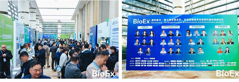 新朝陽亮相BioEx 2026:技術供給+屬地化協同,推動高性能生物刺激素高效落地