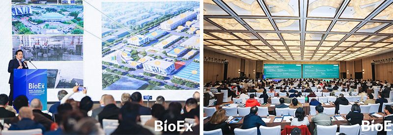 新朝陽亮相BioEx 2026：技術(shù)供給+屬地化協(xié)同，推動(dòng)高性能生物刺激素高效落地