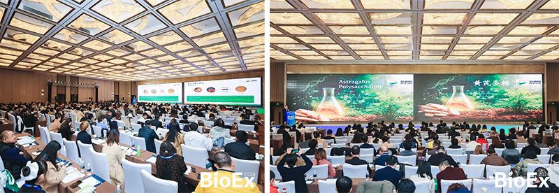 新朝陽亮相BioEx 2026：技術(shù)供給+屬地化協(xié)同，推動(dòng)高性能生物刺激素高效落地