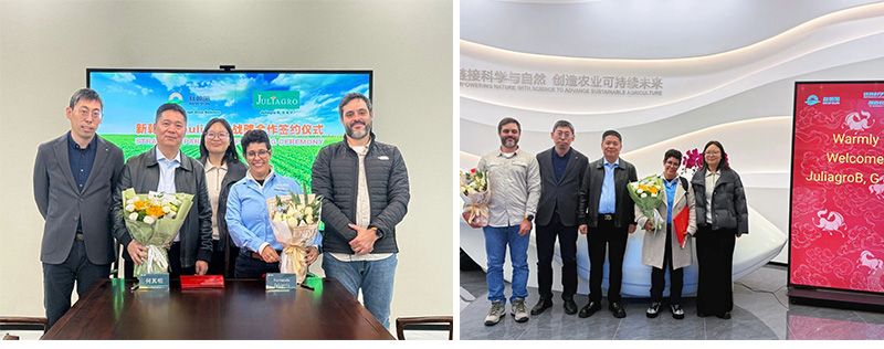 深化國際化布局,新朝陽與巴西Juliagro簽署戰略合作協議