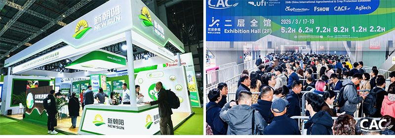 CAC 2026 | 新朝陽攜豐富產品矩陣亮相,全球合作再拓新局